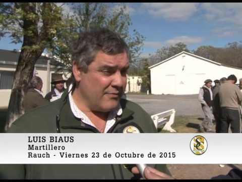 23-10-15 Nota Luis Biaus - Hourcade, Albelo y Cia S.C.C. - Rauch.