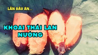 Khoai Thái Lan Nướng Siêu Thơm Ngon | Xuân Dương Vlogs