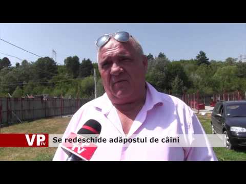 Se redeschide adăpostul de câini