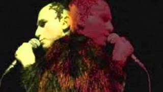 Vaca Profana (Caetano Veloso) - Fênix