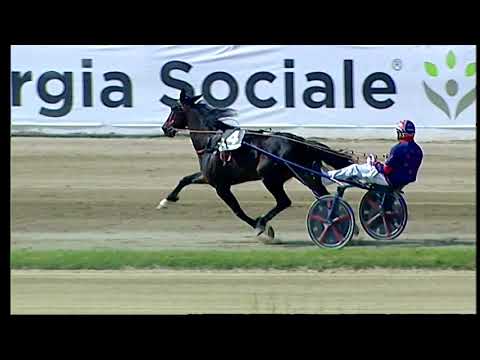 Napoli Trotto 30/04/2021 - 4ª corsa