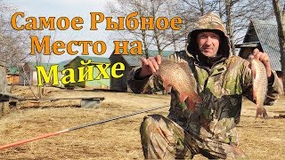 Ссылка