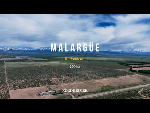 Malargüe, Mendoza - 200 ha | Campo en venta