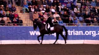 Video koně Antonello