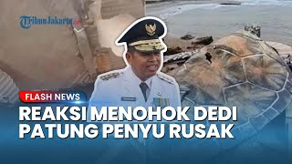 RESPONS Dedi Mulyadi soal Patung Penyu di Sukabumi Rusak Padahal Gelontorkan Dana Rp 15 Miliar