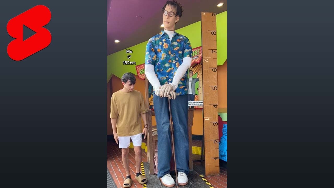 he’s so tall 😂