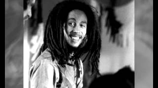 Bob Marley - Soul Shakedown Party