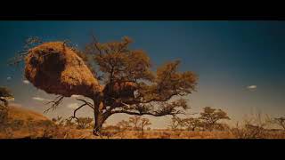 C-kan yo soy quien soy *(video oficial)*^