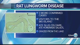 3 unrelated rat lungworm disease confirmed