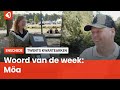Het Twentse woord van de week: Möa