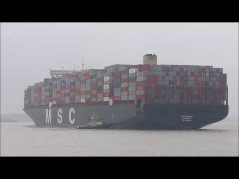 MSC Diana arrives to the Felixstowe on a very busy day for the Harwich Haven  1st June 2018