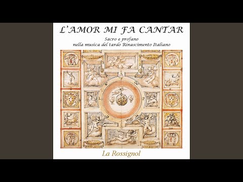 Damigella tutta bella