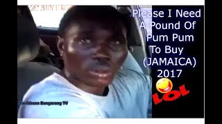 Please I Need A Pound Of Pum Pum To Buy (JAMAICA 2017) 😂😂