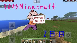 【Minecraft】30秒Minecraft 2日目