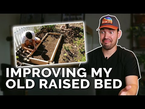 9 Beginner Raised Bed Garden Mistakes to Avoid