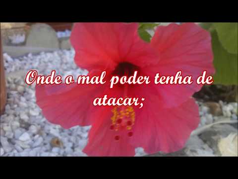 Hinos e Cânticos - 448 - Abrigo perfeito