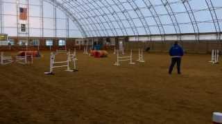preview picture of video 'Booster's Level 5 Jumpers run, ACTS CPE Agility Trial, Lindstrom, MN, 10/6/13'