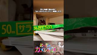 兄に内緒で家の中に「めっちゃカメレオン」再現したらwww