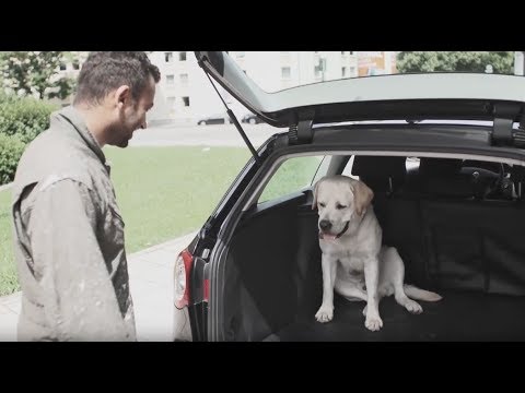 Bootector Kofferraumschutz von AZUGA