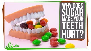 Why Does Sugar Make My Teeth Hurt?