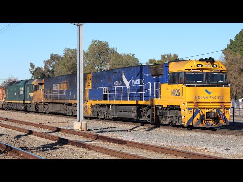 #NR26, #NR96 & #G538 leads 6MP5 through Pym Street