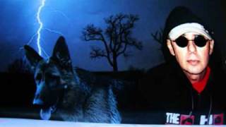 INDIO SOLARI una rata muerta entre los geranios 2010