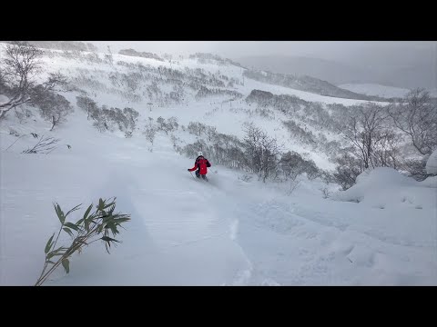 Niseko SuperRidge 'deep pow' Top To Bottom