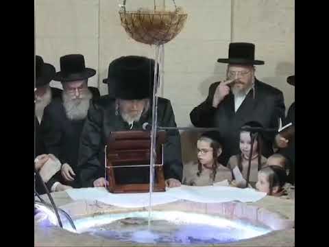 Fish jumps on to the belz rebbe in the middle of tashlich