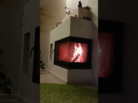 Видео о дверце камина 5