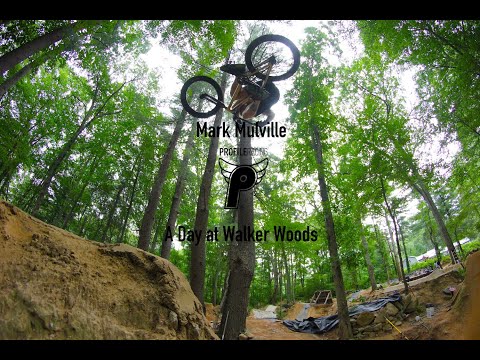 Mark Mulville -- Walker Woods -- Summer of 2022