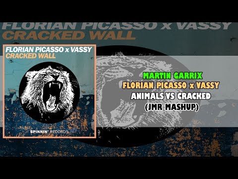 Martin Garrix vs Florian Picasso x VASSY - Animals vs Cracked Wall (JMR Mashup)