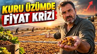 GÜNDEM ÖZEL | Kuru Üzümde Fiyat Krizi: Üretici Ne Yapmalı?