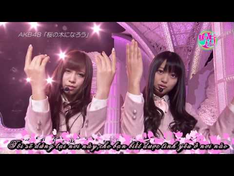 sakura no ki ni narou __ AKB48