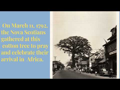 Freetown 230 Years Celebration