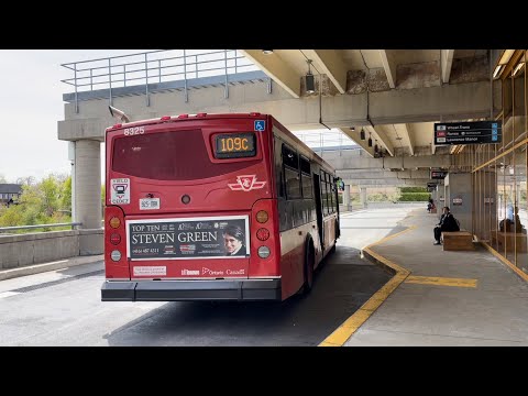 TTC 109C Ranee Orion Bus Ride #8325 from Eglinton West Stn to Lawrence West Stn (May 8th, 2023)