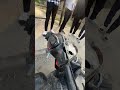 TVS Ntorq 125 Accident Video Shorts