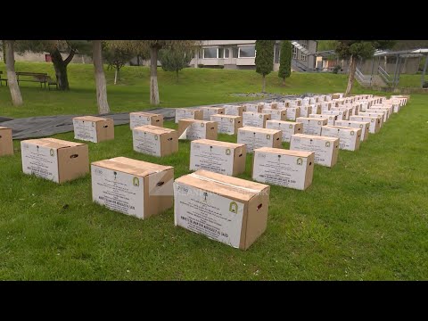 “SHPORTA E RAMAZANIT”: NDIHMA HUMANITARE NGA ARABIA SAUDITE