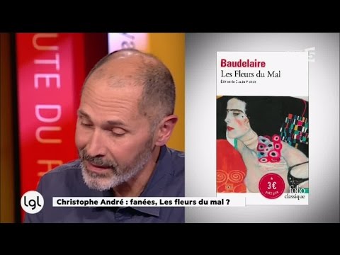 Why Christophe André doesn't like Les Fleurs du Mal at all