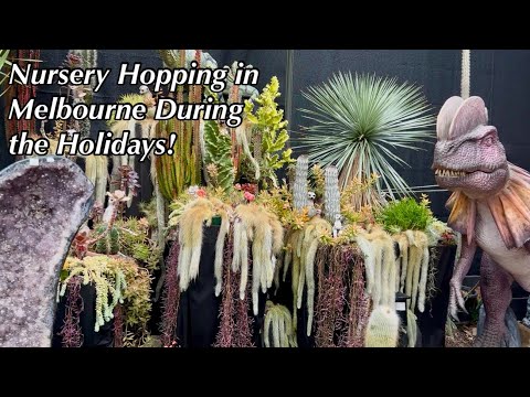 So Many Plants! 🌿 Melbourne Nursery Tour During the Holiday