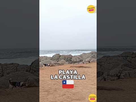 Playa la Castilla, el Tabo, región de Valparaíso, Chile #shorts #chile #travel #shortvideo