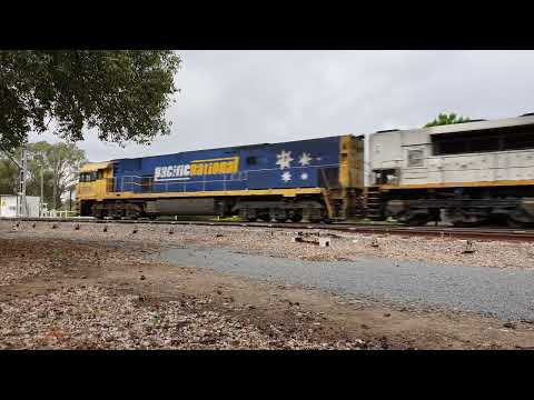 Pacific National's 5WM2 (NR38 - LDP009 - LDP005) power through The Rock, NSW.