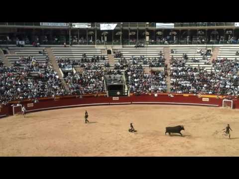 3 jumps over 1 charging bull by gladiators valencia