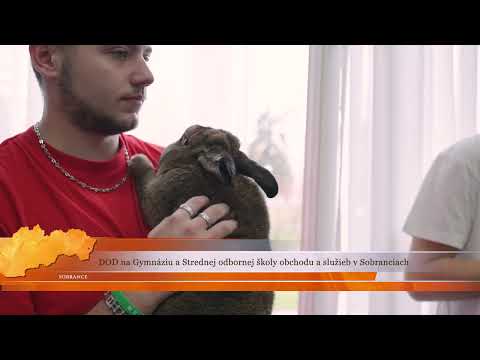 Rozhoduješ sa, kam po základke?