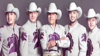 BRONCO alguien  mejor que yo