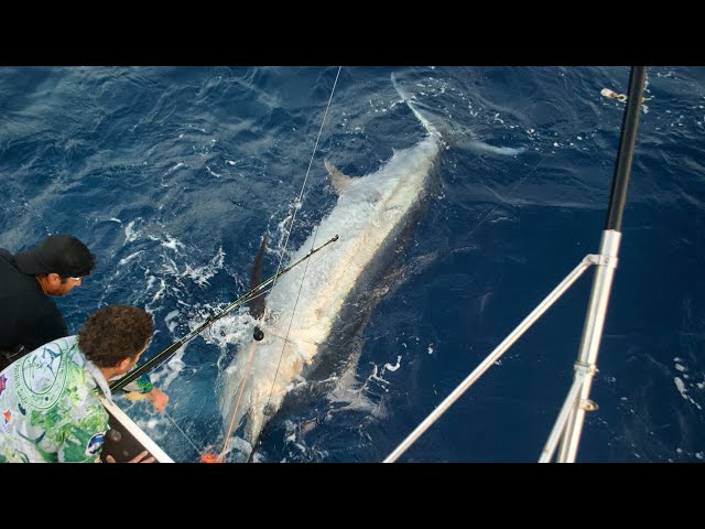 All The Gear No Idea Sportfishing - Exmouth, WA
