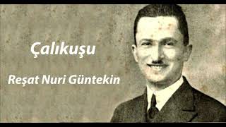 Çalıkuşu Roman Özeti