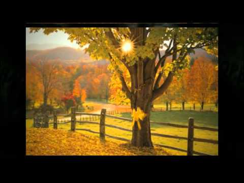 Linden, NJ Traffic Accident Shoulder Pain Relief - Dr. Mark Zientek