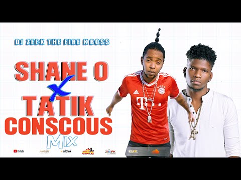 Shane O X Tatic Conscious Mix 2023 | Shane O X Tatic  Conscious & Positive Songs (Dj Zee K)