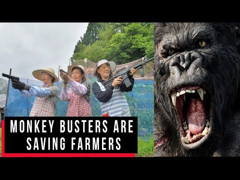 GHOST BUSTER IS FICTION MONKEY BUSTERS ARE THE REAL DEAL | Cobrapost