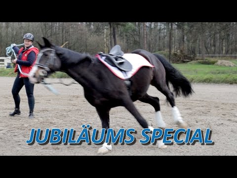 Stute flößt Besitzerin Respekt ein - Finley powert sich hoch und mach was sie will